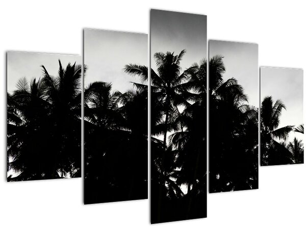 Crno-bijela slika - palme (150x105 cm)