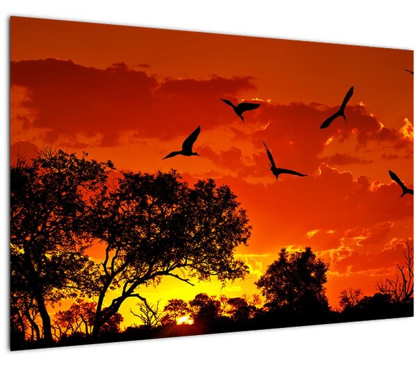 Slika ptica u zalasku sunca (90x60 cm)