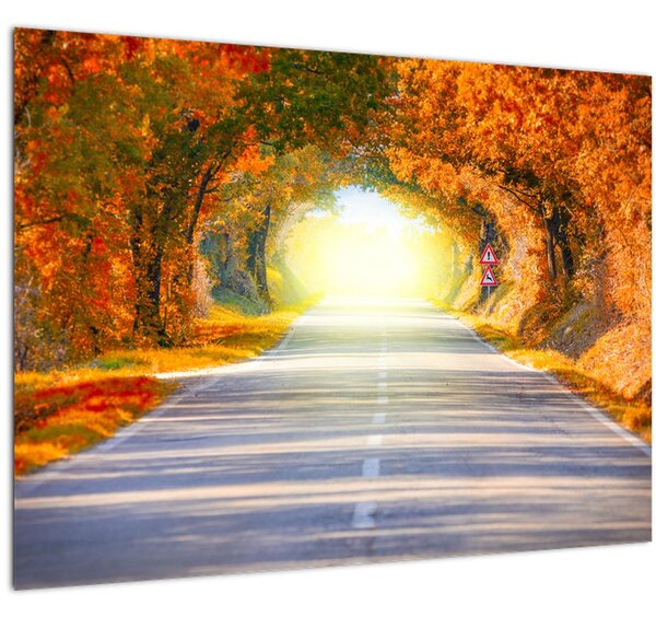 Slika -Prolaz od krošnja stabala (70x50 cm)