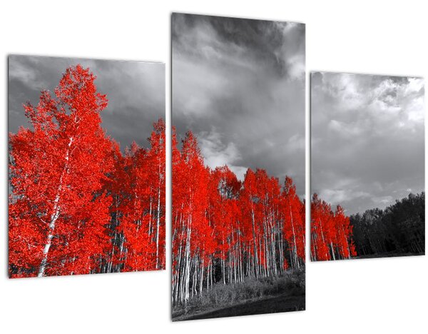 Slika - Drveće u jesenskim bojama (90x60 cm)