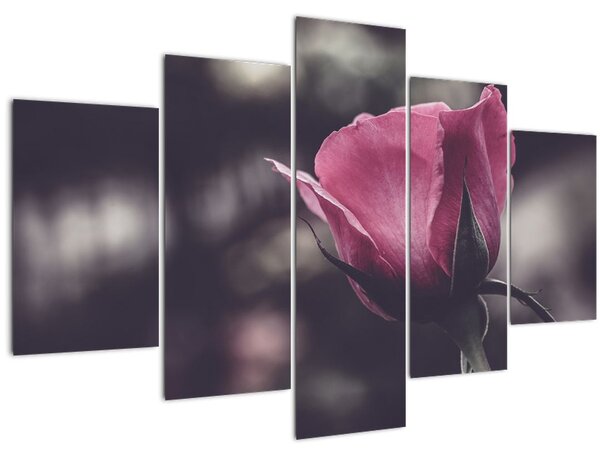 Slika - Detalj cvijeta ruže (150x105 cm)