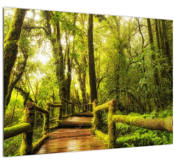 Slika džungle i mahovine (70x50 cm)