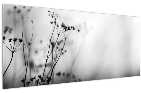 Slika - Detalj livadnog cvijeća (120x50 cm)