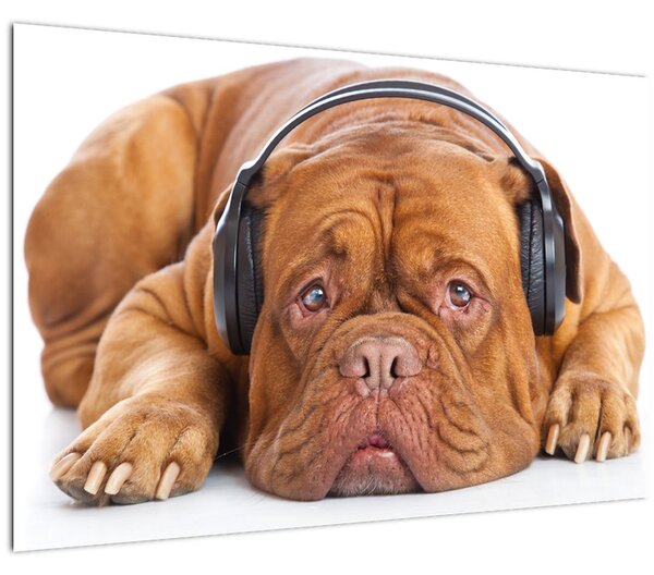 Slika psa sa slušalicama (90x60 cm)