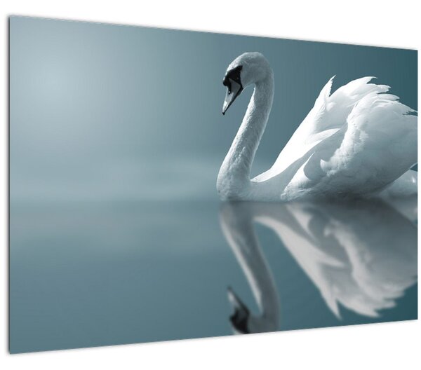 Slika - Bijeli labud (90x60 cm)