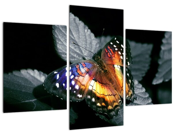 Slika leptira (90x60 cm)