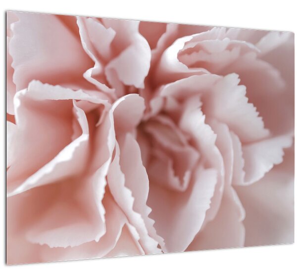 Slika - Detalj cvijeta (70x50 cm)