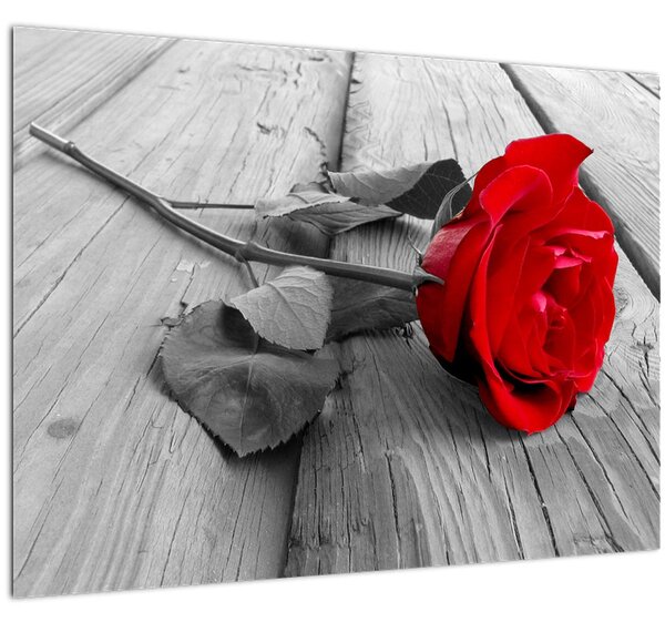 Slika crvene ruže (70x50 cm)