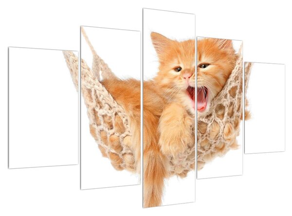 Slika mačke u mreži (150x105 cm)