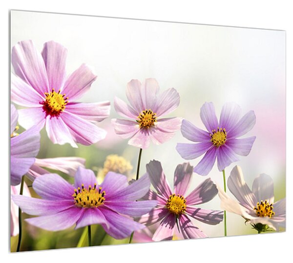 Slika cvijeća (70x50 cm)
