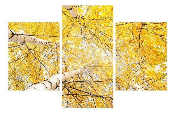 Slika breze (90x60 cm)