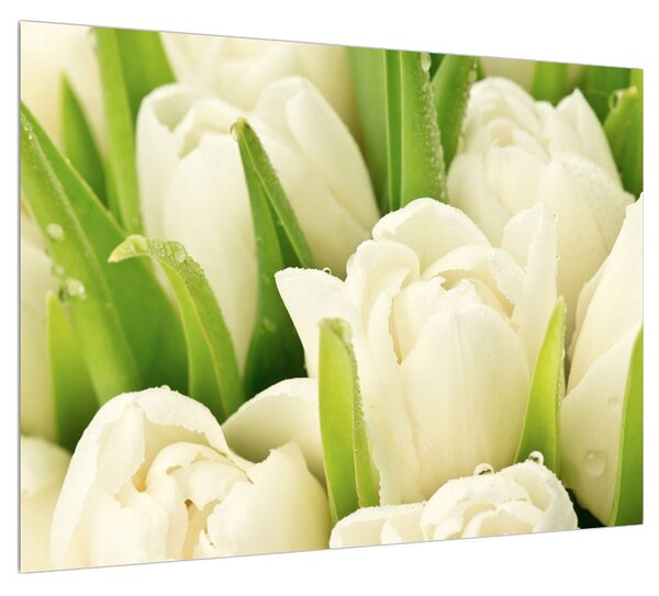 Slika cvjetova tulipana (70x50 cm)