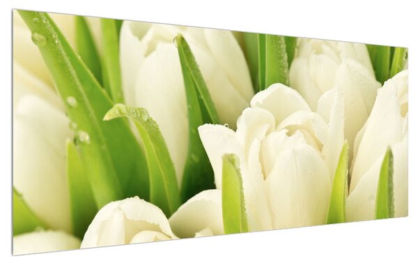 Slika cvjetova tulipana (120x50 cm)