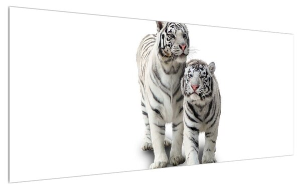 Slika bijelog tigra (120x50 cm)