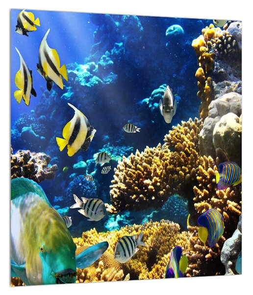 Slika podvodnog svijeta (30x30 cm)