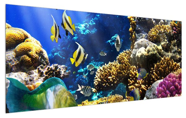 Slika podvodnog svijeta (120x50 cm)
