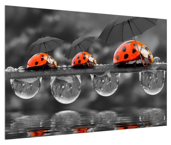 Slika bubamara s kišobranima (90x60 cm)