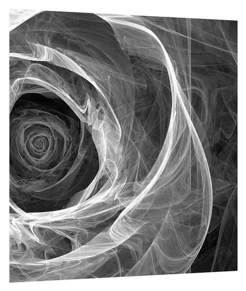Crno-bijela slika apstraktne ruže (30x30 cm)