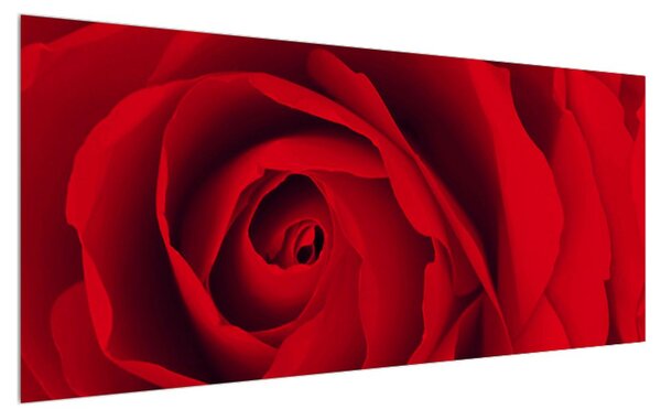 Slika ruže (120x50 cm)