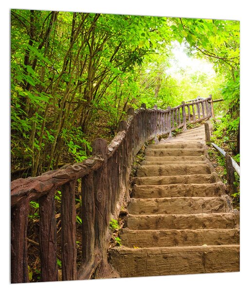 Ljetna slika stepenica u prirodi (30x30 cm)