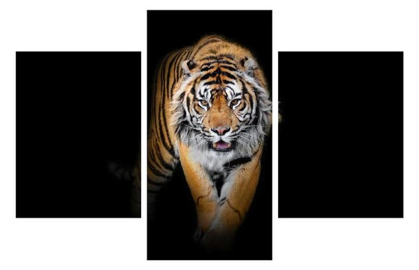 Slika tigra (90x60 cm)