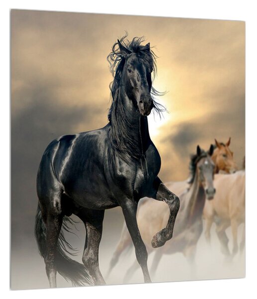 Slika konja (30x30 cm)