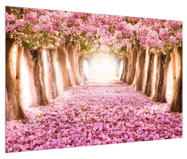 Slika cvjetne staze (90x60 cm)