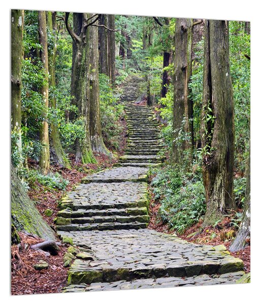 Slika kamenih stepenica u šumi (30x30 cm)