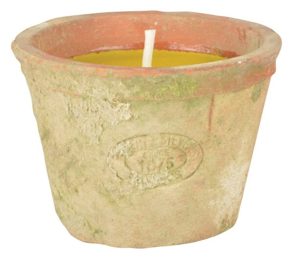 Mirisna svijeća vrijeme gorenja 10 h Citronelle – Esschert Design