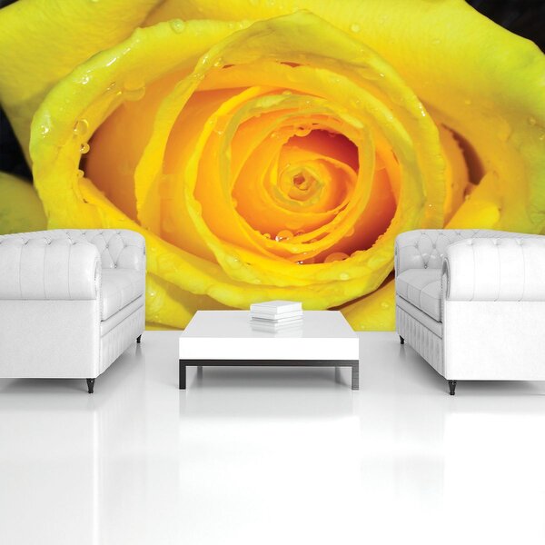 Foto tapeta - Žuta ruža (152,5x104 cm)