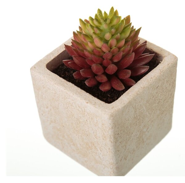 Umjetne biljke u setu 6 kom (visina 9,5 cm) Cactus – Casa Selección