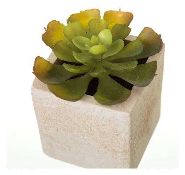 Umjetne biljke u setu 6 kom (visina 9,5 cm) Cactus – Casa Selección
