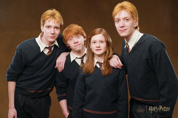 Umjetnički plakat Harry Potter - Weasley family