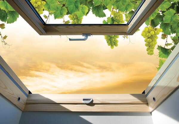 Foto tapeta - Pogled s prozora na sunčano nebo i grožđe (152,5x104 cm)