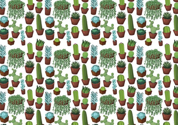 Foto tapeta - Kaktus (152,5x104 cm)