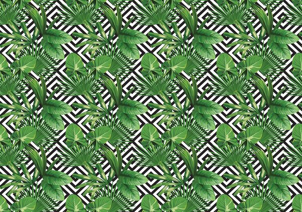 Foto tapeta - Geometrija i lišće (152,5x104 cm)