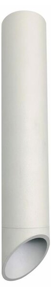 Reflektorska svjetiljka VALDA 1xGU10/60W/230V bijela
