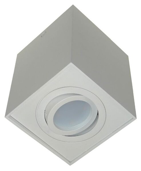 Reflektorska svjetiljka SIROCO 1xGU10/30W/230V bijela