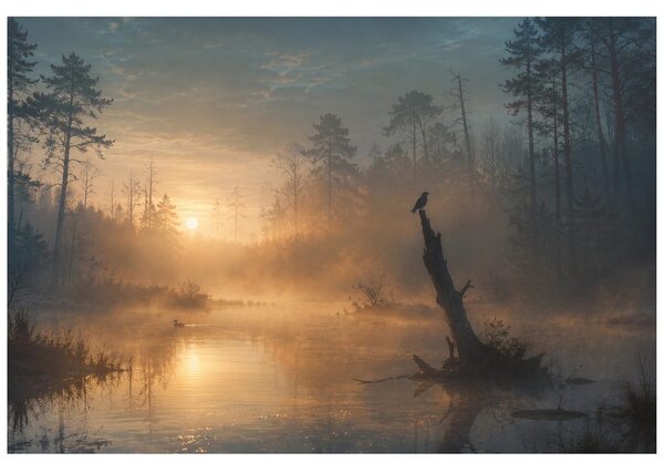 Tapeta maglovita šuma uz jezero