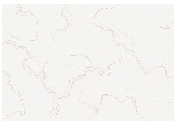 Tapeta minimalističke bež valovite linije