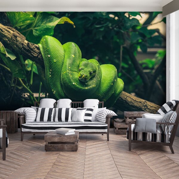 Foto tapeta - Zelena zmija (152,5x104 cm)