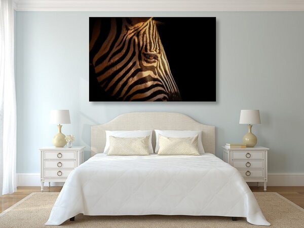 Slika portret zebre