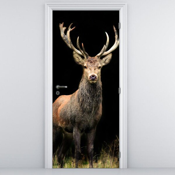 Foto tapeta za vrata - prekrasan jelen (95x205cm)