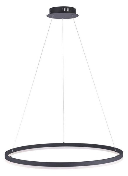 Paul Neuhaus 2383-13 - LED Prigušivi luster na sajli TITUS LED/50W/230V