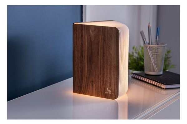 Smeđi svjetlosni ukras s USB Booklight – Gingko