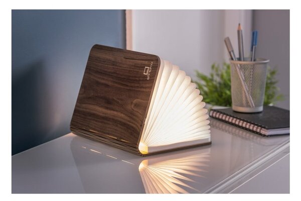 Smeđi svjetlosni ukras s USB Booklight – Gingko