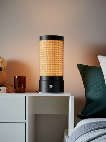 Sinsay - LED stolna lampa u retro stilu
