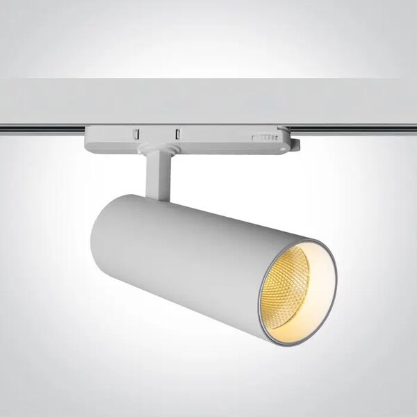 BIJELI ŠINSKI LED REFLEKTOR 20W-25W-30W PV CCT 230V DM65606CT/W/V