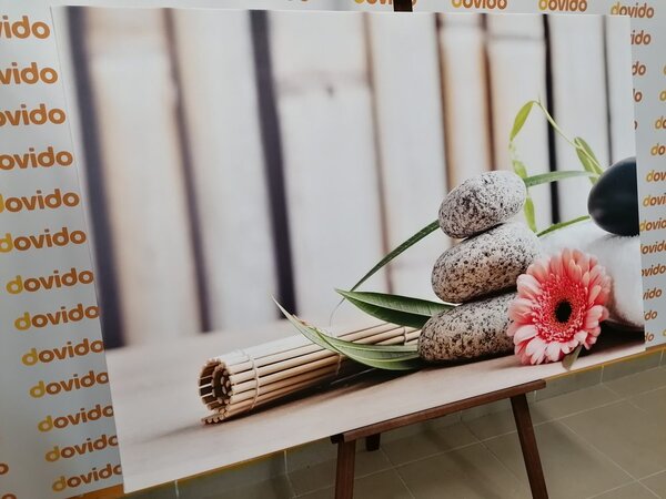 Slika meditacijska i wellness mrtva priroda