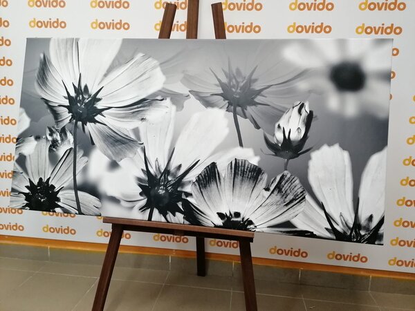 Slika vrtno cvijeće u crno-bijelom dizajnu